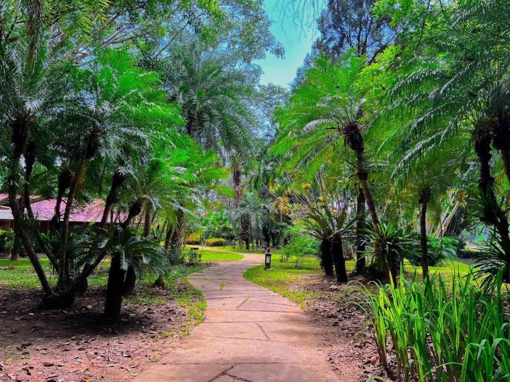 Pai Hotsprings Spa Resort Buitenkant foto