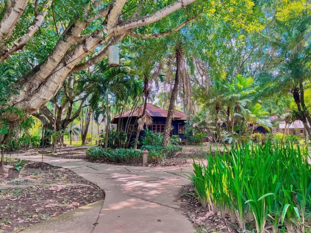 Pai Hotsprings Spa Resort Buitenkant foto